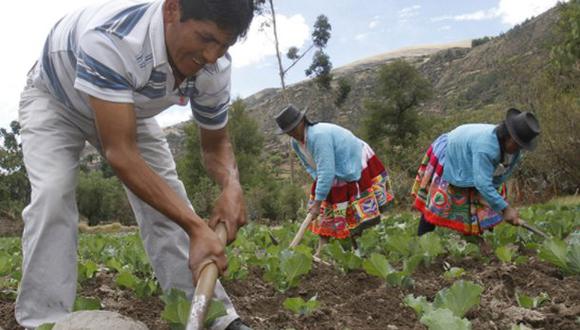 Ejecutivo transfiere S/ 15 millones para reactivar agro afectado por El Niño costero. (Foto: Andina)