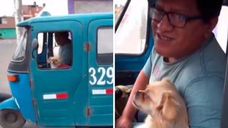 Mototaxista se hace viral en redes sociales por llevar siempre a su perra al trabajo | VÍDEO