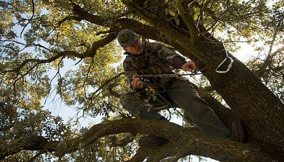 España: arqueros disparan contra jabalíes para asesinarlos cerca a Madrid 