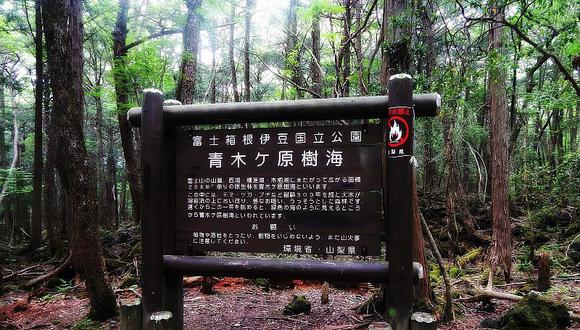 ¿Sabes de Aokigahara, el bosque de los suicidas? Entérate aquí 