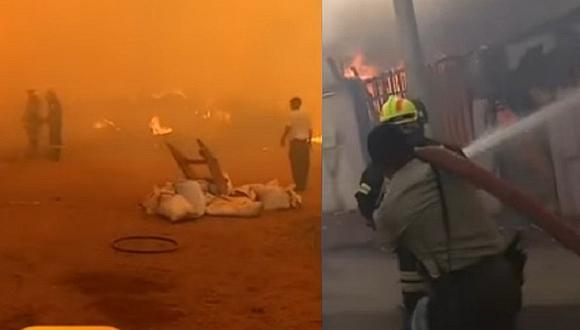 ​Chile: alerta roja por incontrolable incendio forestal en Valparaíso (VIDEO)