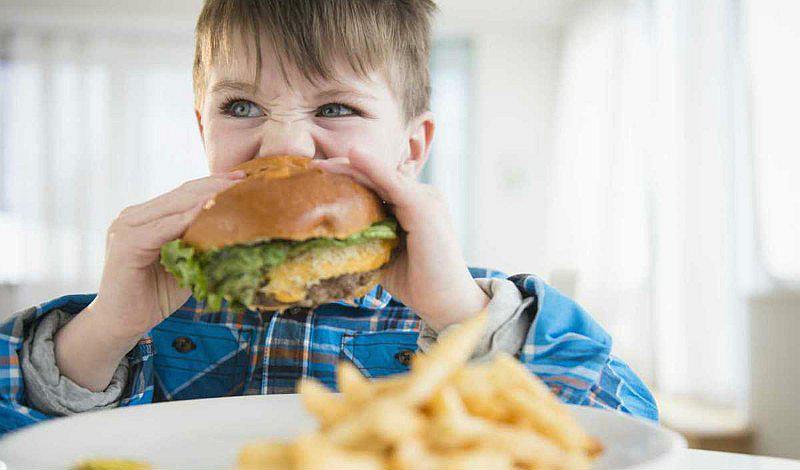¿La comida chatarra es conveniente dentro de la lonchera escolar?