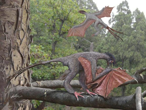 Descubren un pequeño dinosaurio con alas de murciélago 