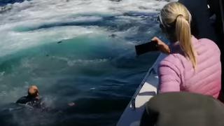 Un hombre casi es tragado por una ballena luego que su bote chocara contra el animal | VIDEO