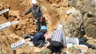Identifican restos humanos de más de 24.000 años en una isla japonesa 