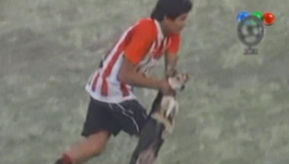 Futbolista lanzó con furia a perro a tribuna en pleno partido [VIDEO] 