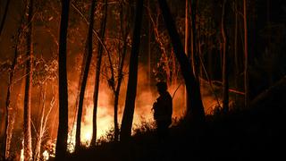 Casi 1.500 bomberos combaten 8 incendios en Portugal ante meteorología extrema 