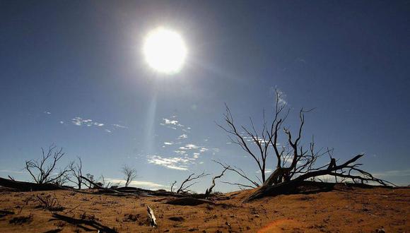 La ola de calor viene acompañada de graves sequías y causa la muerte de centenares de personas. (Foto: Getty Images)