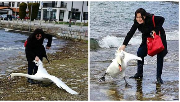 Mujer mata un cisne por tomarse un "selfie" 