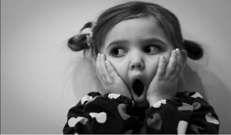 Gato con cara de humano sorprende a los cibernautas