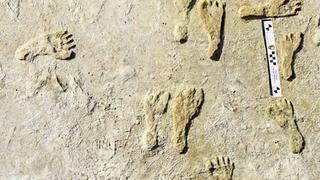 Los primeros humanos caminaban por América del Norte hace 23 mil años