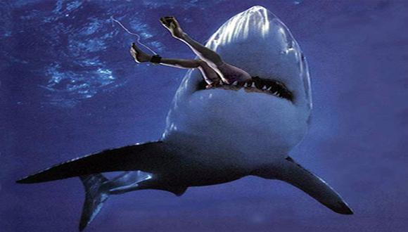  Tiburón mata a un surfista en el sur de California 