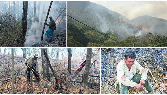 Incendios forestales y falta de lluvias alarman a pobladores en 13 regiones del país (FOTOS)