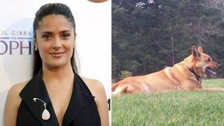 Salma Hayek: Hombre que mató a su perro quedó libre de cargos  