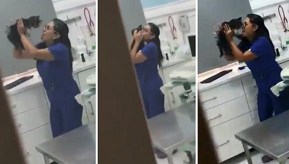 Veterinaria se viraliza por bailar reggaetón con un gatito (VIDEO)