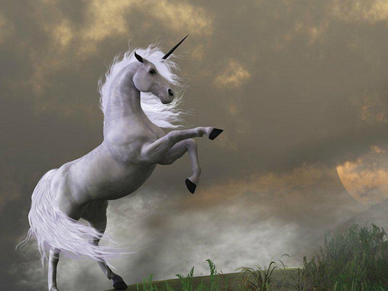 ¿Realmente existieron los unicornios? ¡Esto te sorprenderá!