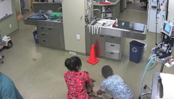 Perro toma a enfermera de jinete y se la lleva al trote [VIDEO]