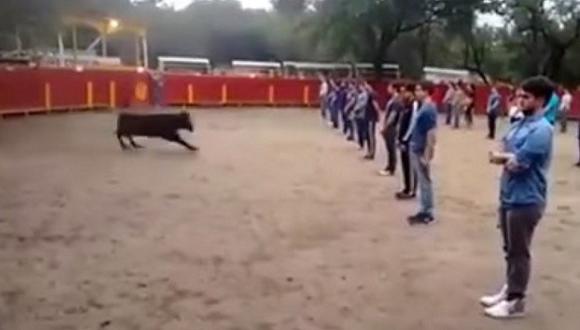 YouTube: Suelta a toro en medio de 40 personas y esto pasa [VIDEO]