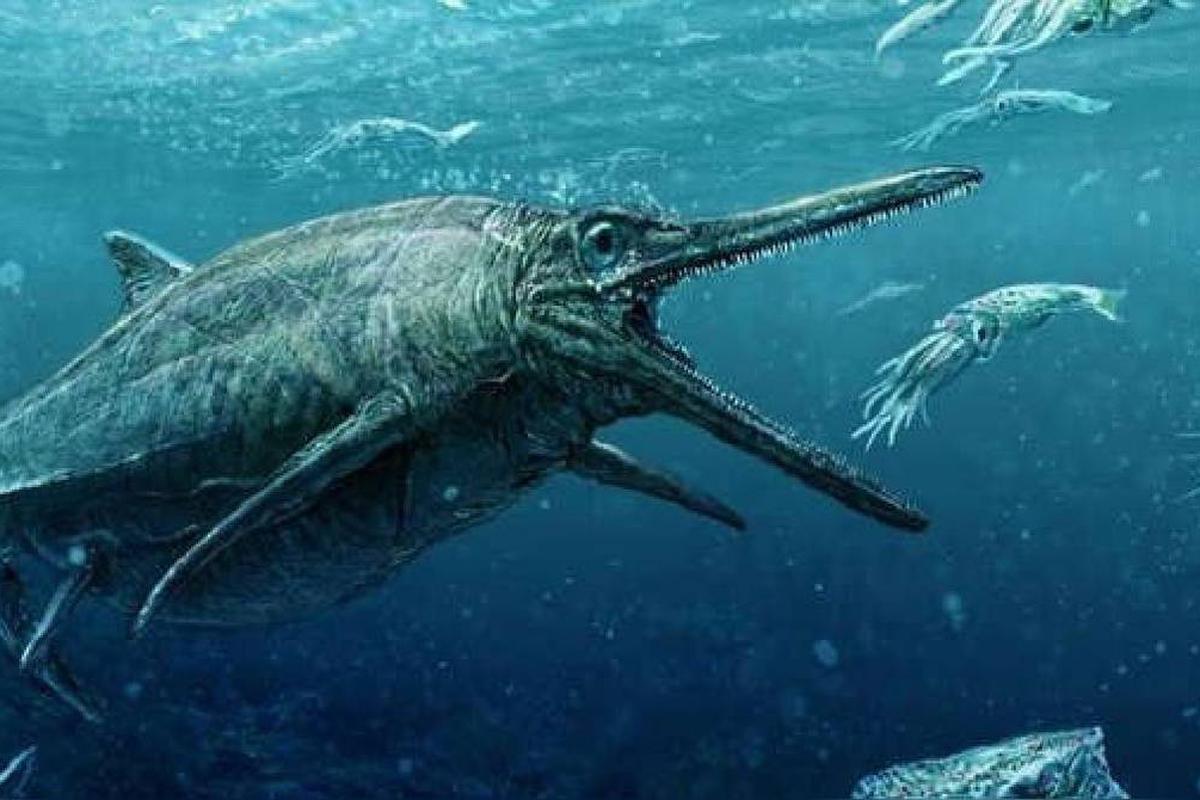 Alpes: descubren mayor diente de ictiosaurio, el dinosaurio marino más  grande de la historia | WEB OJO PRINT | LOCOMUNDO | OJO