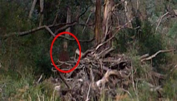 ​Australia: Captan imagen de fantasma en parque conocido por suicidios [FOTO]