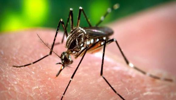 Virus Zika: OMS confirma que llegará sí o sí al Perú