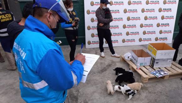 Las autoridades rescataron a 11 perros que iban a ser vendidos de manera ilegal en Mesa Redonda. (Foto: Municipalidad de Lima)