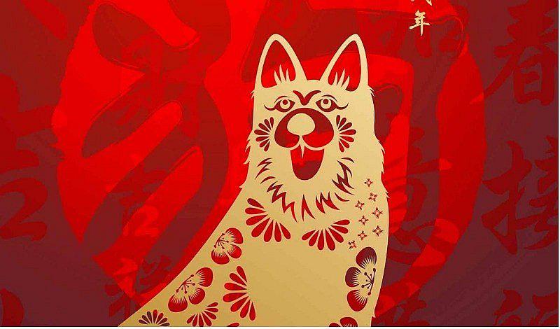 Horóscopo chino: Año del perro, todo lo que debes saber 