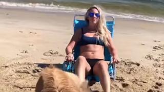 Quiso tomar sol en la playa, pero su perro lo arruinó todo (VIDEO)