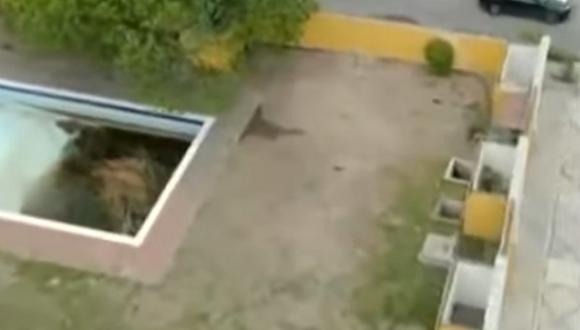 La vista aérea del motel Nueva Castilla, más los videos de la Fiscalía, dan luces del recorrido que realizó Debanhi Escobar. (Foto: captura YouTube)