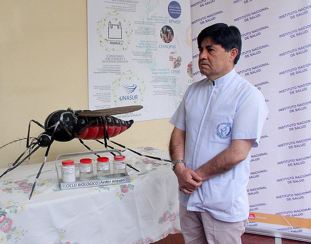 Dengue: sepa cómo sacar al mosquito de su casa en tan solo 10 minutos