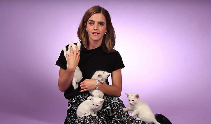 ¡Lady cat! Emma Watson fue entrevistada rodeada de gatitos y murió de ternura [VIDEO]