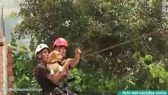Mascotas: mira el rescate de un perrito que quedó atrapado por el huaico en Chosica (VIDEO)