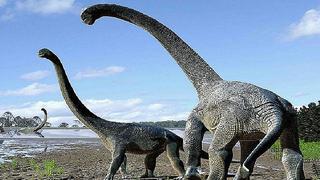 ¡Increíble! Huesos de dinosaurios eran molidos para darlos como comida 
