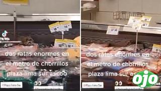 Ratas son captadas en sección de embutidos en Metro de Chorrillos: “Los productos han sido incinerados” 