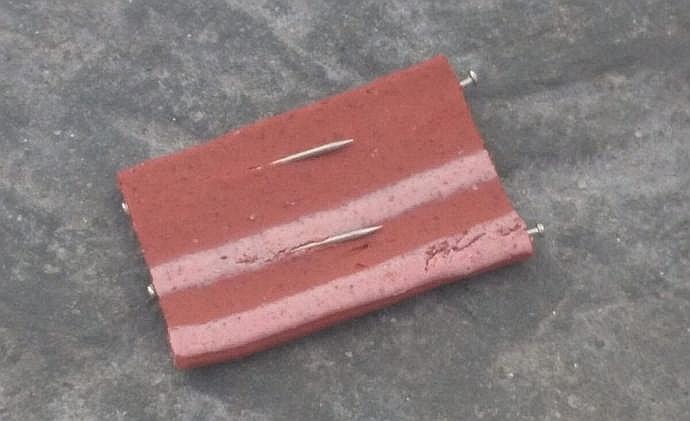 Salvajes lanzan de comida para perros con alfileres para matarlos