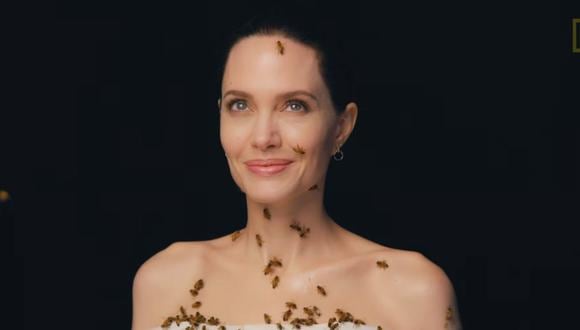 Angelina Jolie en campaña a favor del Día Mundial de las abejas . (Foto: Captura YouTube)