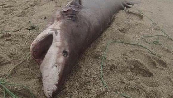 ​Facebook: ¿Un tiburón gigante en las playas de Lima? Esta imagen sorprende en redes