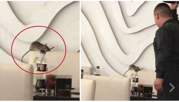 Facebook: captan rata gigante al interior de lujoso restaurante de San Isidro (VIDEO)