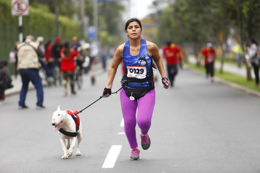 		se realizó un mascotón de 2k en el distrito de jesus maria para concientizar el cuidado de su mascotas./joel alonzo  73691	