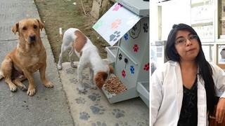 Veterinaria crea galletas anticonceptivas para perros callejeros