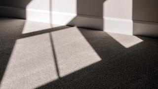 Qué productos aplicar para limpiar la alfombra pegada al piso y luzca como nueva