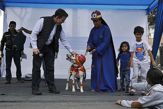 Magdalena: Perrito  disfrazado de Húsares de Junín gana concurso