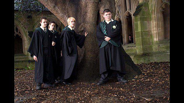 Harry Potter: Actor de la saga ahora es un luchador de la MMA 