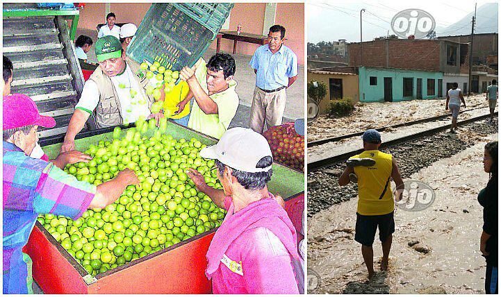 ¡Atención señito! Sube a S/. 20 el kilo de limón tras huacios y desbordes 