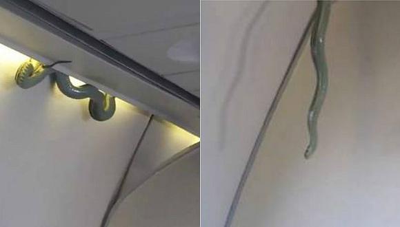 Facebook: serpiente apareció en pleno vuelo y así reaccionaron los pasajeros (VIDEO)