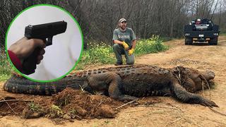 Encuentran cocodrilo de 4 metros, pero lo sacrifican porque tenía heridas de balas