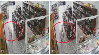 Perrito "roba" en bodega, pero luego regresa para "dar la cara" (VIDEO)