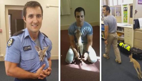 Facebook: Policía cree ser el padre de un canguro [VIDEO] 