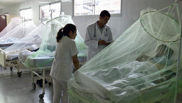 Ica y Piura son las regiones más afectadas por el serotipo 1 y 2 de dengue, mientras que en Lima circulan los tres serotipos. (Foto: Andina)