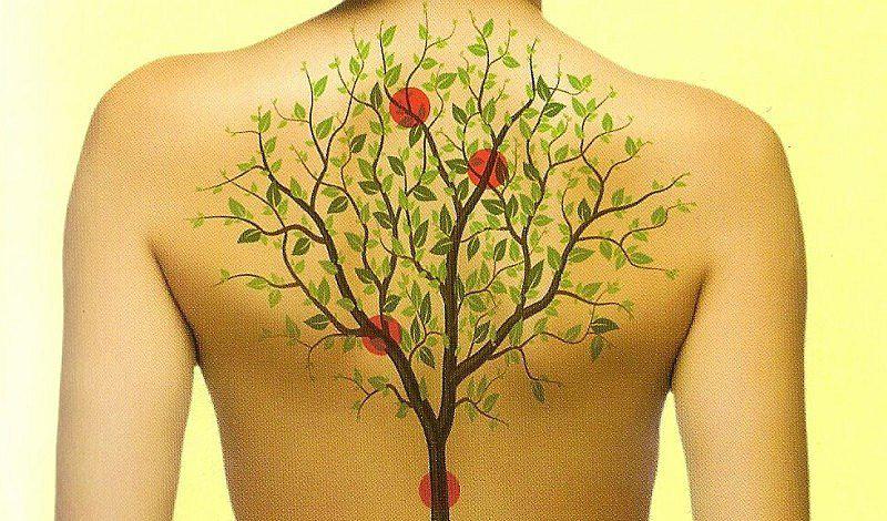 ¡Qué curioso! Los órganos del cuerpo y sus relación con las emociones